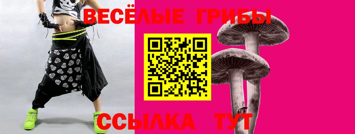 Псилоцибиновые грибы прущие грибы Избербаш